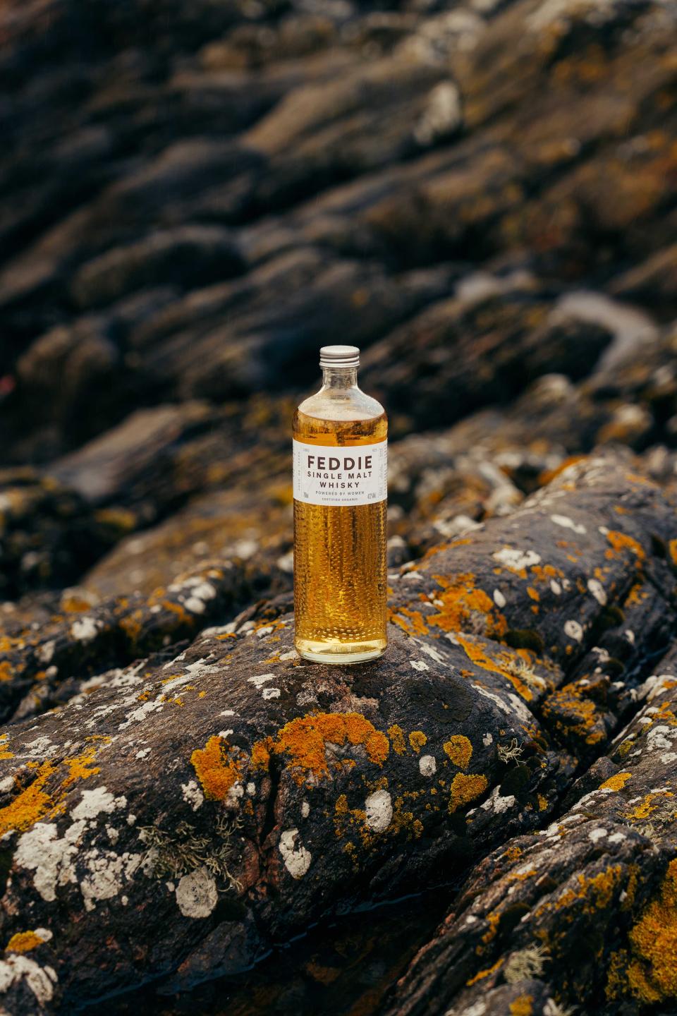 Feddie Whisky Bottle