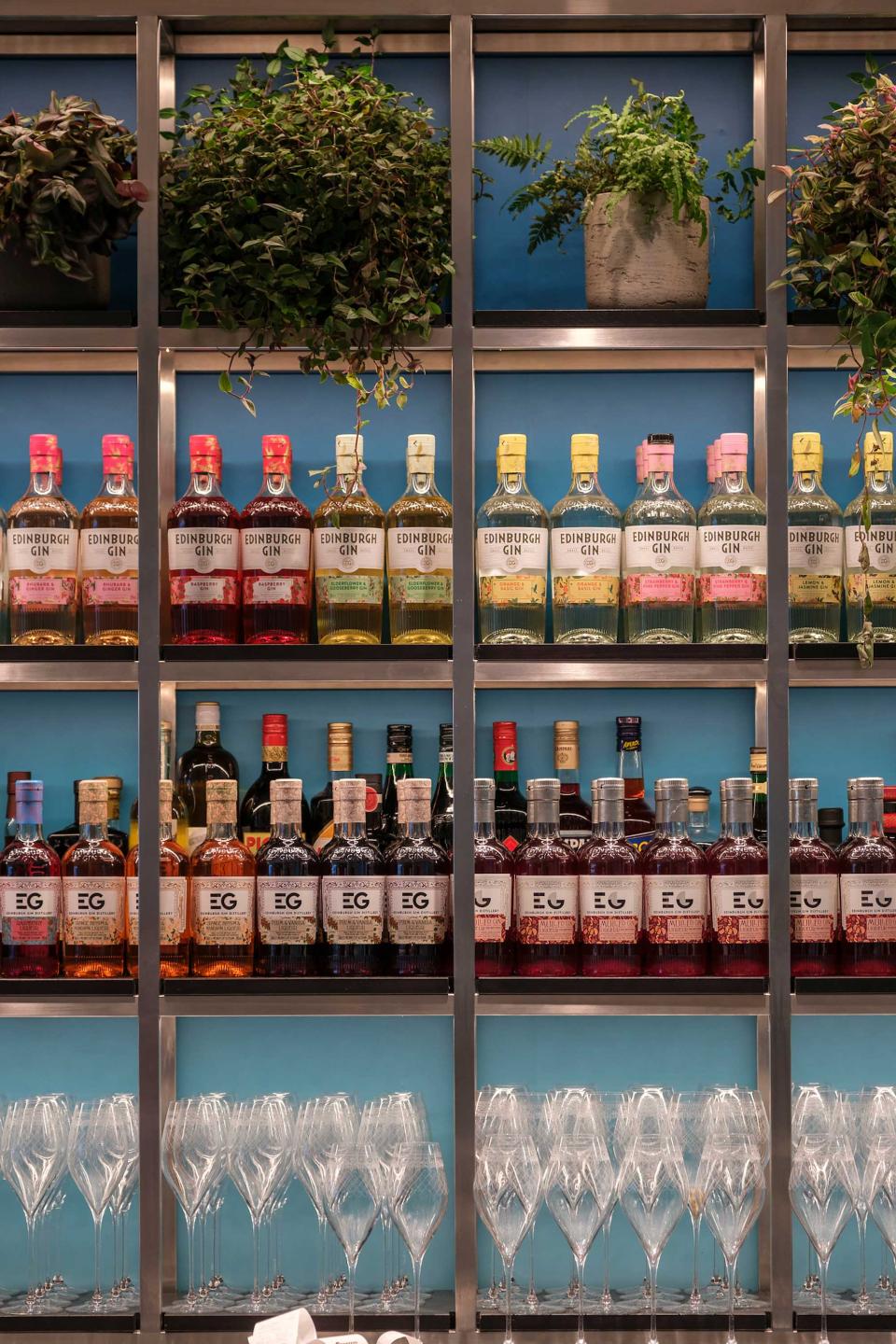 Edinburgh Gin Tasting Experience